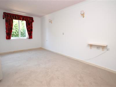 Picture 13